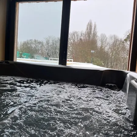 Nyaraló Luxueux Avec Piscine, Spa, Jardin Et Equipements De Loisirs A Sarge-les-le-mans - Fr-1-410-437